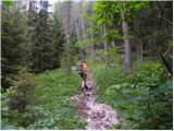 Podkraj / Unterort - Alpengasthof Siebenhütten